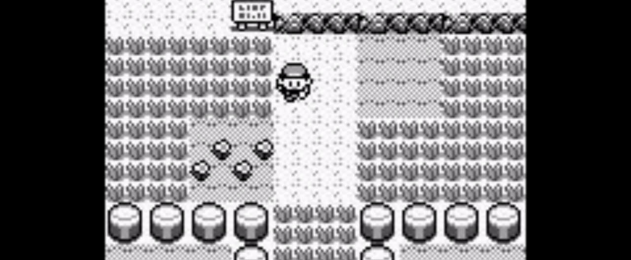 ポケモンは『数学』ゲームは『投資』